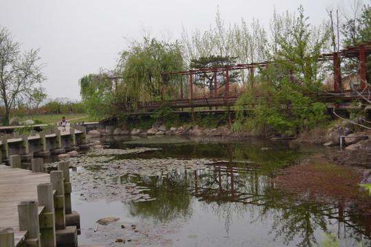 木橋
