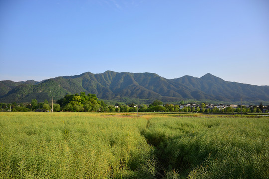 南屏風(fēng)光