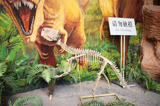 恐龍化石