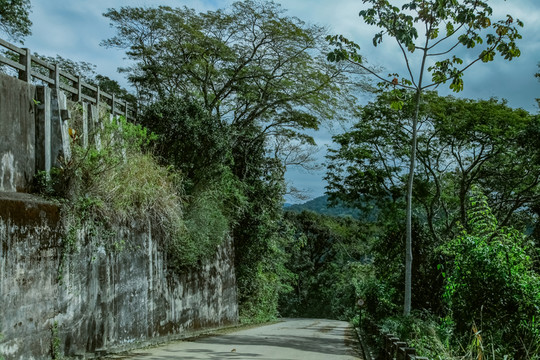 南美洲 巴西 里約 基督山
