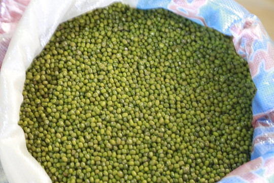 綠豆高清照片