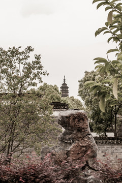 景德鎮(zhèn)