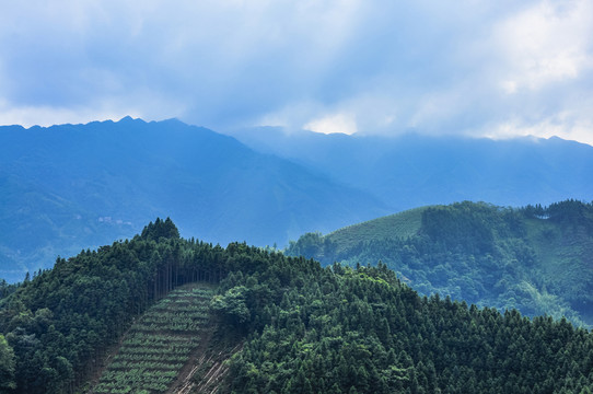 山嶺風(fēng)光
