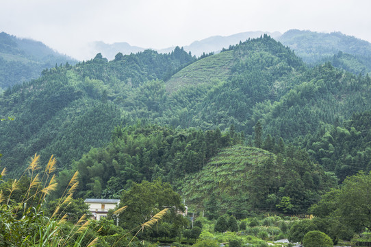 山嶺風光