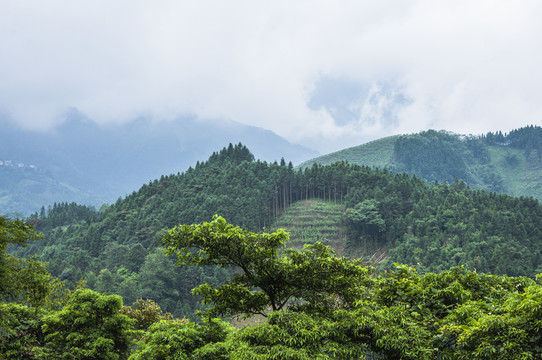 山嶺風(fēng)光