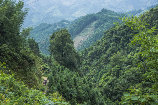 山嶺風(fēng)光