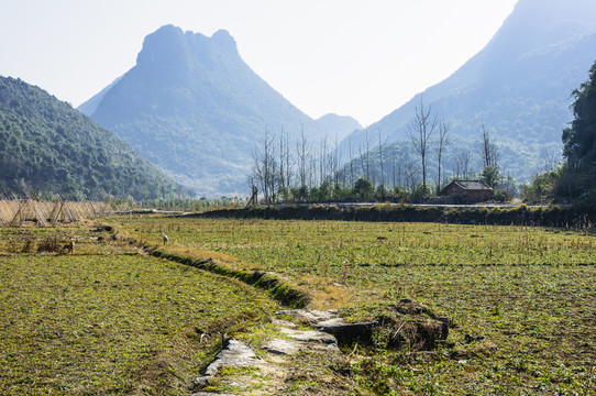 鄉(xiāng)村小路