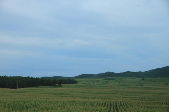 吉林風(fēng)光