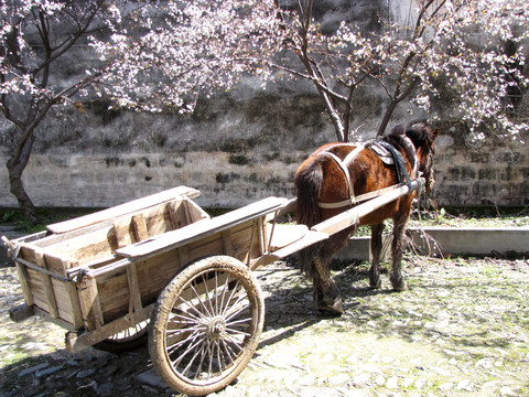馬車
