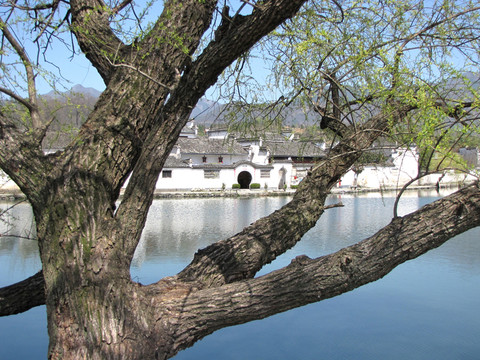 安徽宏村風(fēng)景