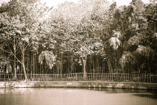 烏鎮(zhèn)老照片
