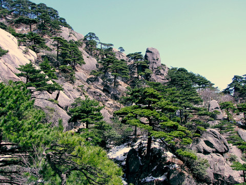 黃山風(fēng)光攝影