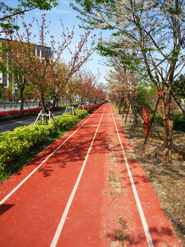 城市慢跑道