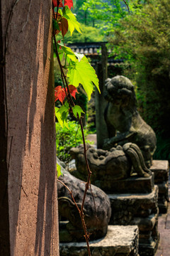 石獅子