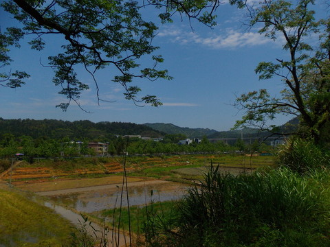 鄉(xiāng)村美景