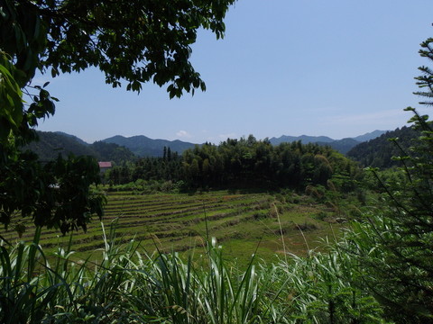 山村風(fēng)光