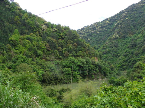 春山春水