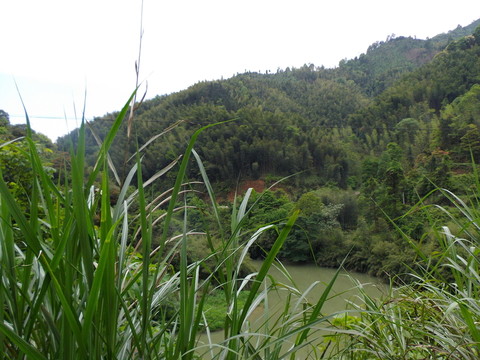 山水風(fēng)景