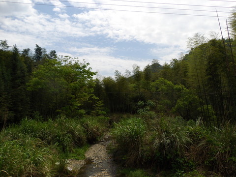 山鄉(xiāng)美景