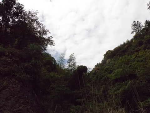 山中風(fēng)景