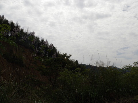 云天山影