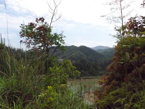 青山綠水