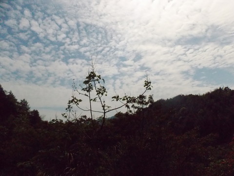 天空山影