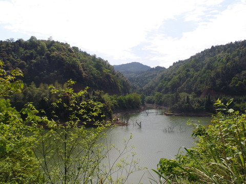 青山綠水