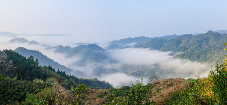 寬幅云霧遠(yuǎn)山