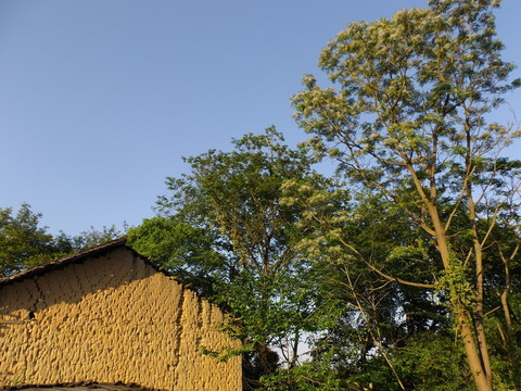 鄉(xiāng)村風(fēng)景
