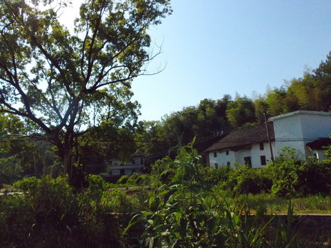 美麗鄉(xiāng)村
