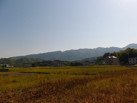 田園風(fēng)光