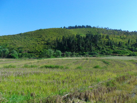 田園風(fēng)光