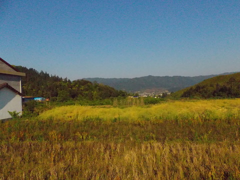 鄉(xiāng)村風光