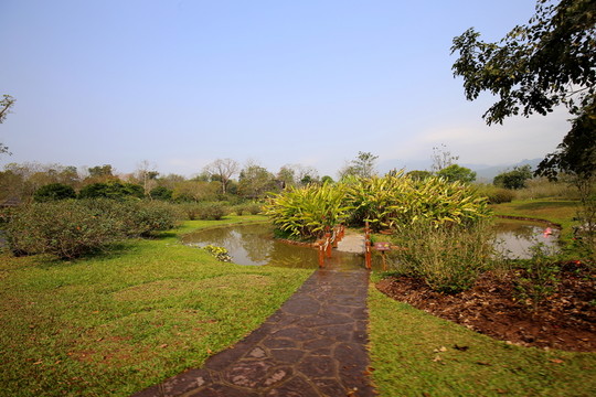 田園