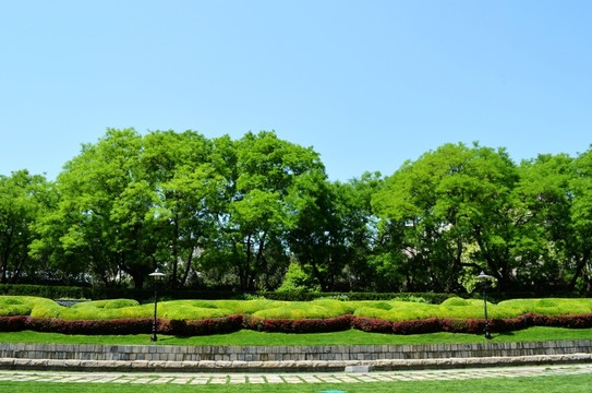 綠樹藍(lán)天