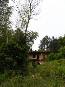 鄉(xiāng)村景物