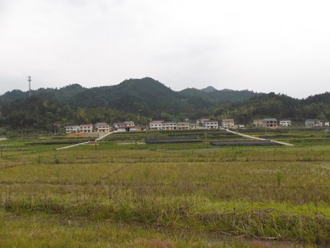 山村春光