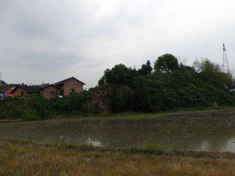 鄉(xiāng)村春色