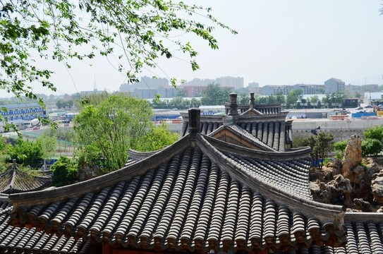 屋脊