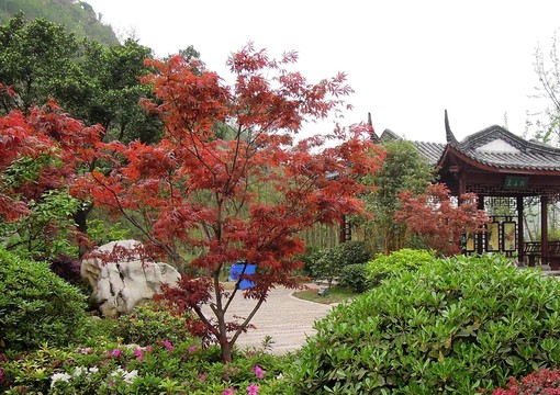 城市 園林 小亭 綠化
