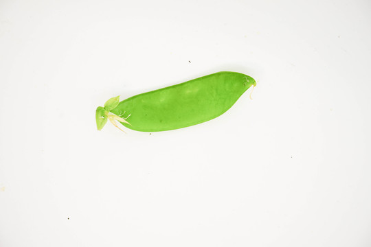 荷蘭豆 豌豆