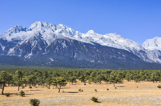 玉龍雪山