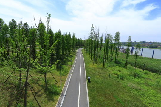 林間小路