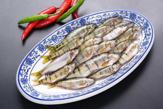石斑魚