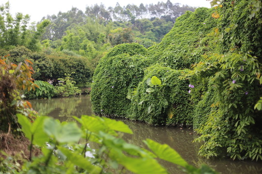 小河風(fēng)光