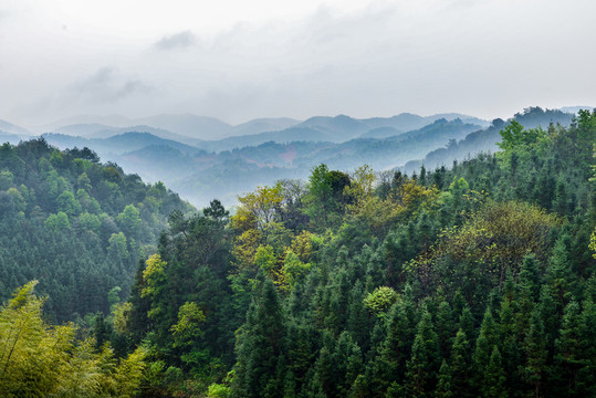 森林遠(yuǎn)山
