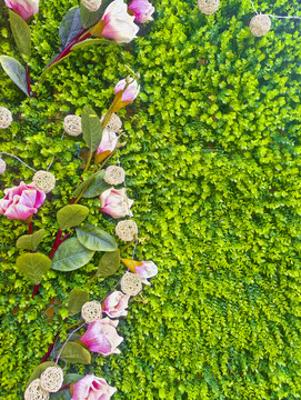 植物墻 花墻