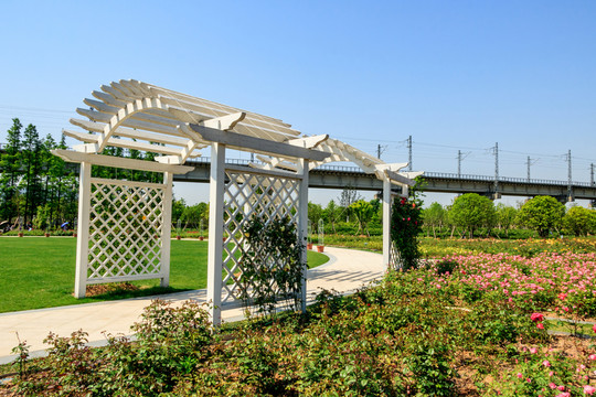 植物園 花園