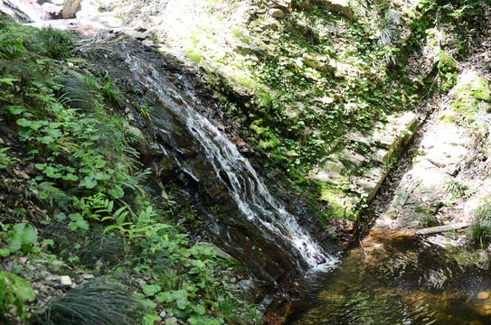 山澗
